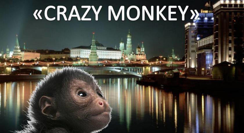 Гостиница Хостел Crazy Monkey у Московского зоопарка Москва-32